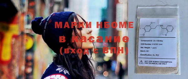 ГАЛЛЮЦИНОГЕННЫЕ ГРИБЫ Бородино
