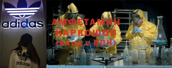 ГАЛЛЮЦИНОГЕННЫЕ ГРИБЫ Бородино