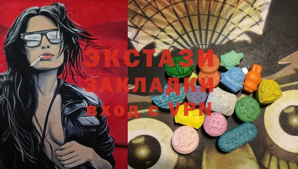 ГАЛЛЮЦИНОГЕННЫЕ ГРИБЫ Бородино