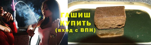 ГАЛЛЮЦИНОГЕННЫЕ ГРИБЫ Бородино