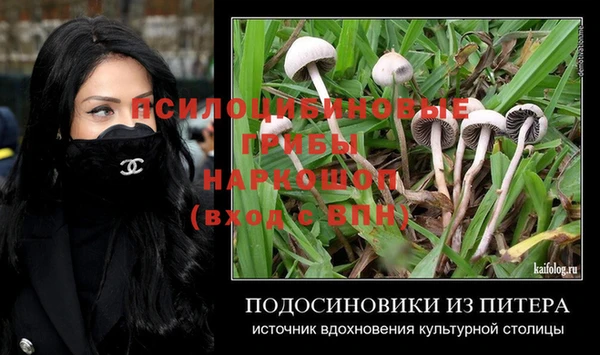 ешки Богородск