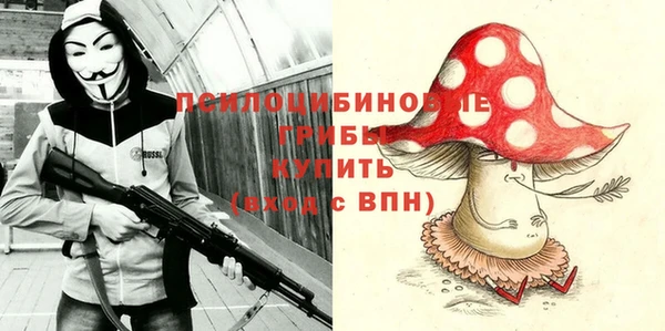 ПСИЛОЦИБИНОВЫЕ ГРИБЫ Остров