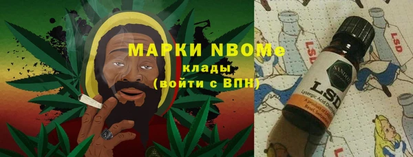 ГАЛЛЮЦИНОГЕННЫЕ ГРИБЫ Бородино