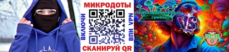 купить наркоту  Бежецк  Галлюциногенные грибы мицелий 