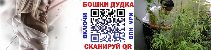 Каннабис сатива Бежецк